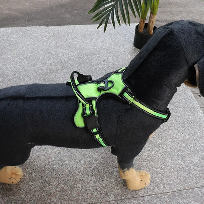 Adjustable Nylon Dog Harness Vest