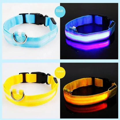 LED Glowing Pet Collar