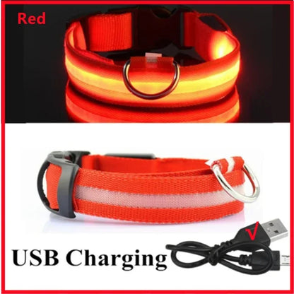 LED Glowing Pet Collar