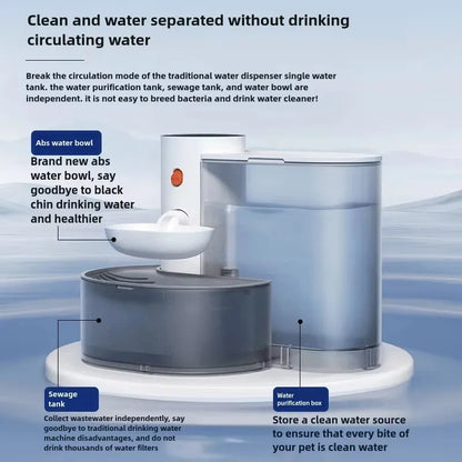 Automatic Water Feeder Pet
