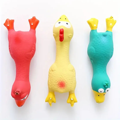 Sound Cooing Chicken Dog Toy