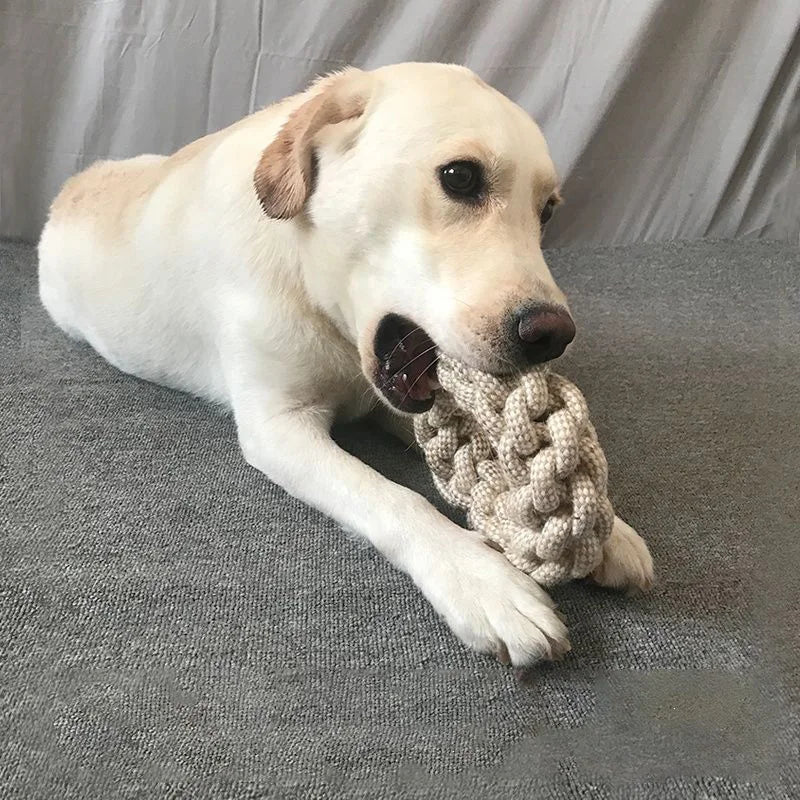 Resistant Knot Toy Pet