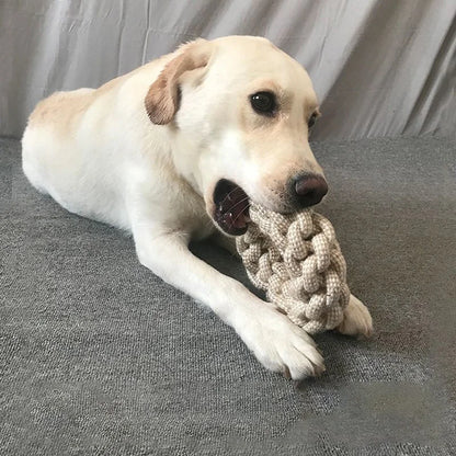 Resistant Knot Toy Pet