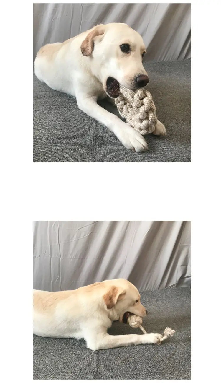 Resistant Knot Toy Pet
