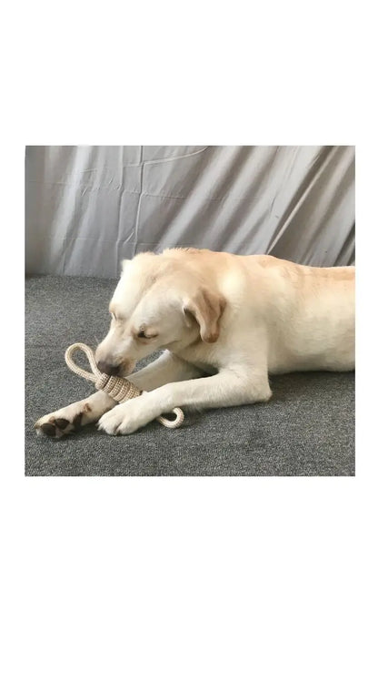 Resistant Knot Toy Pet