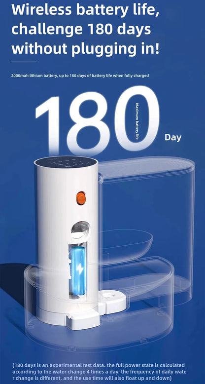 Automatic Water Feeder Pet