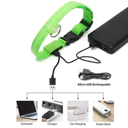 LED Glowing Pet Collar