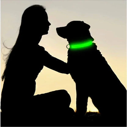 LED Glowing Pet Collar