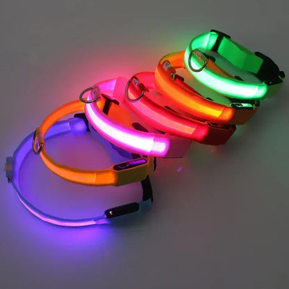 LED Glowing Pet Collar