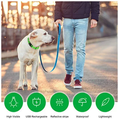 LED Glowing Pet Collar