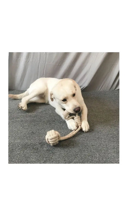 Resistant Knot Toy Pet