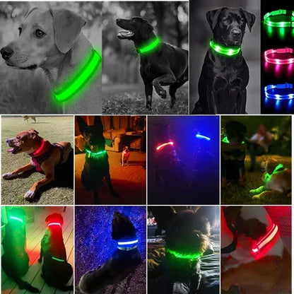 LED Glowing Pet Collar