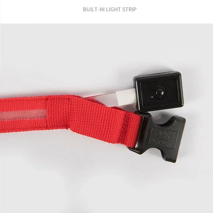 LED Glowing Pet Collar