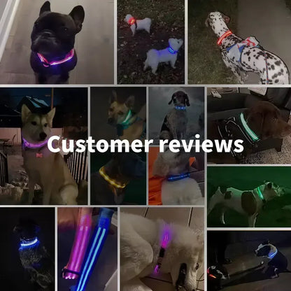 LED Glowing Pet Collar