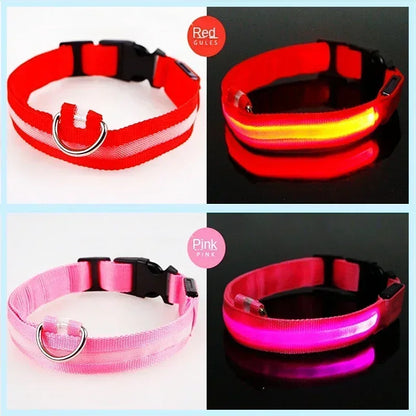 LED Glowing Pet Collar