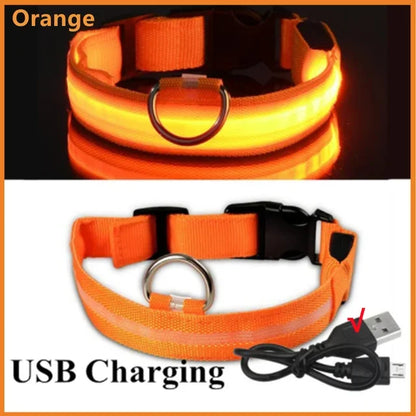 LED Glowing Pet Collar