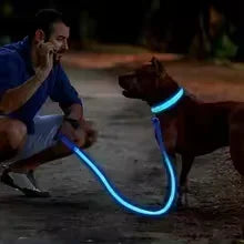 LED Glowing Pet Collar