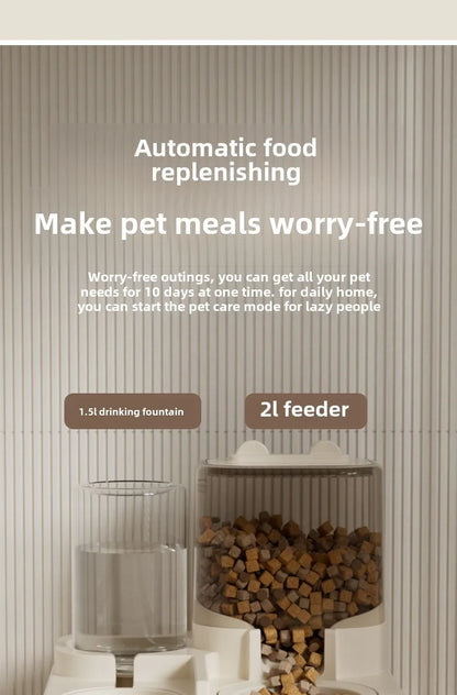 Automatic Feeding Dispenser Pet