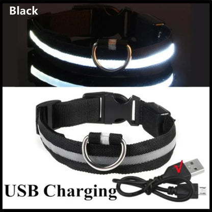 LED Glowing Pet Collar