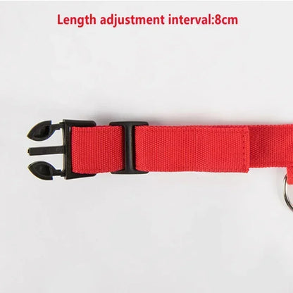 LED Glowing Pet Collar